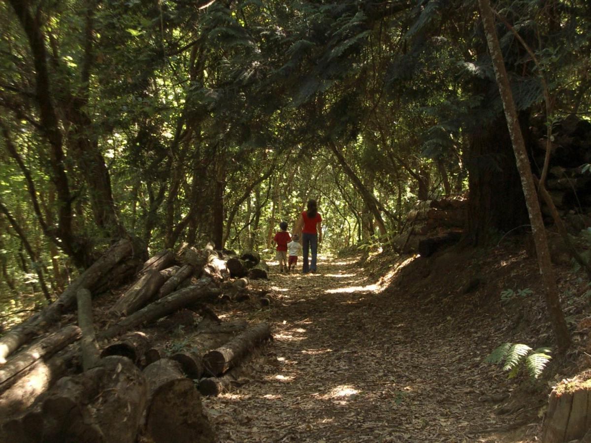 Quinta de Santa Júlia Villa Peso da Régua Kültér fotó