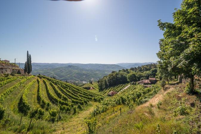 Quinta de Santa Júlia Villa Peso da Régua Kültér fotó