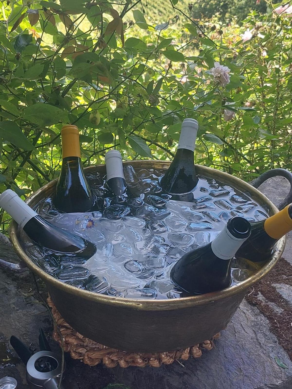 Quinta de Santa Júlia Villa Peso da Régua Kültér fotó