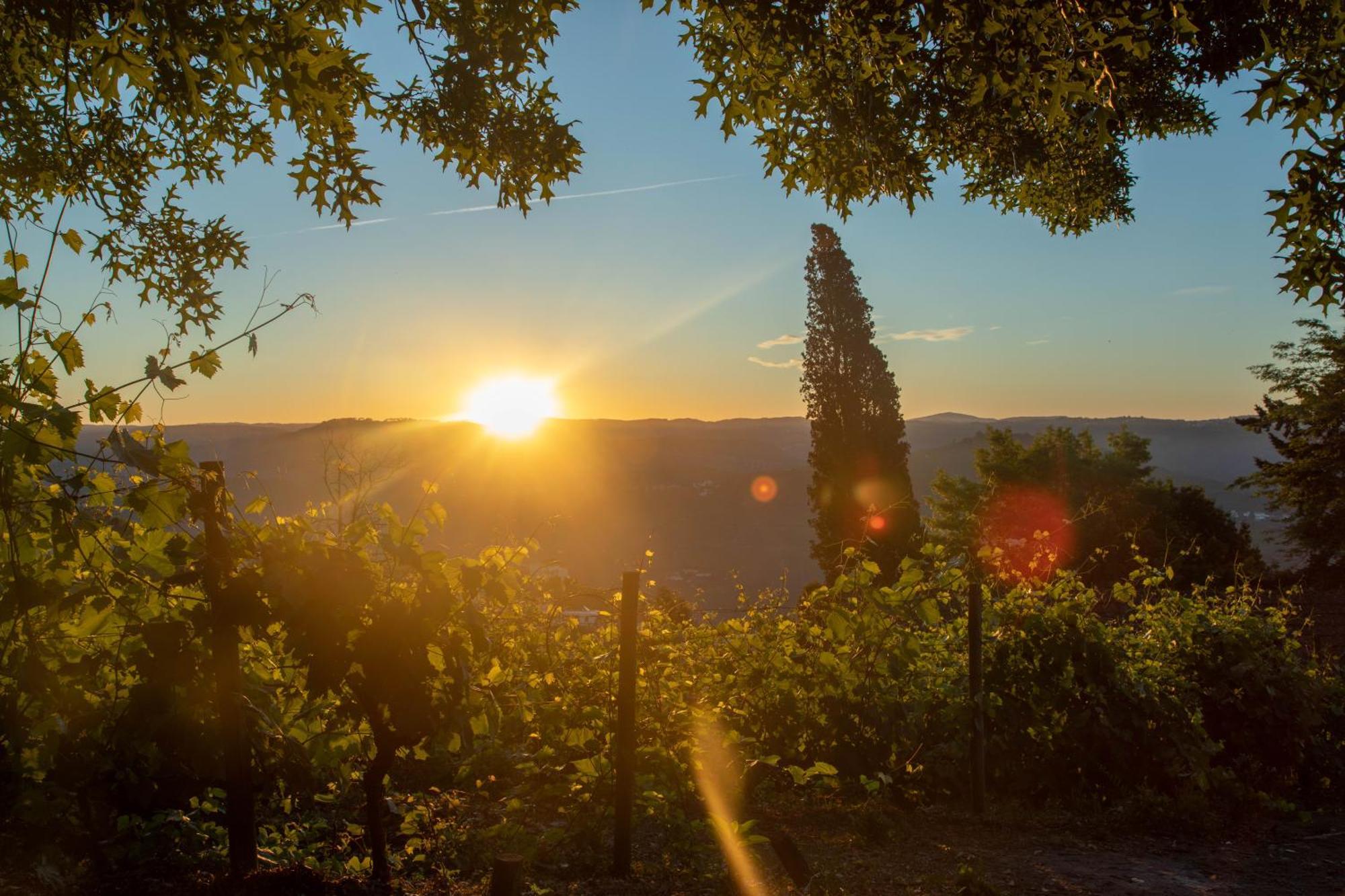 Quinta de Santa Júlia Villa Peso da Régua Kültér fotó