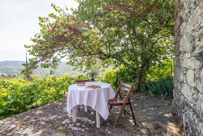 Quinta de Santa Júlia Villa Peso da Régua Kültér fotó