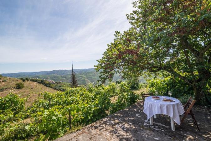 Quinta de Santa Júlia Villa Peso da Régua Kültér fotó