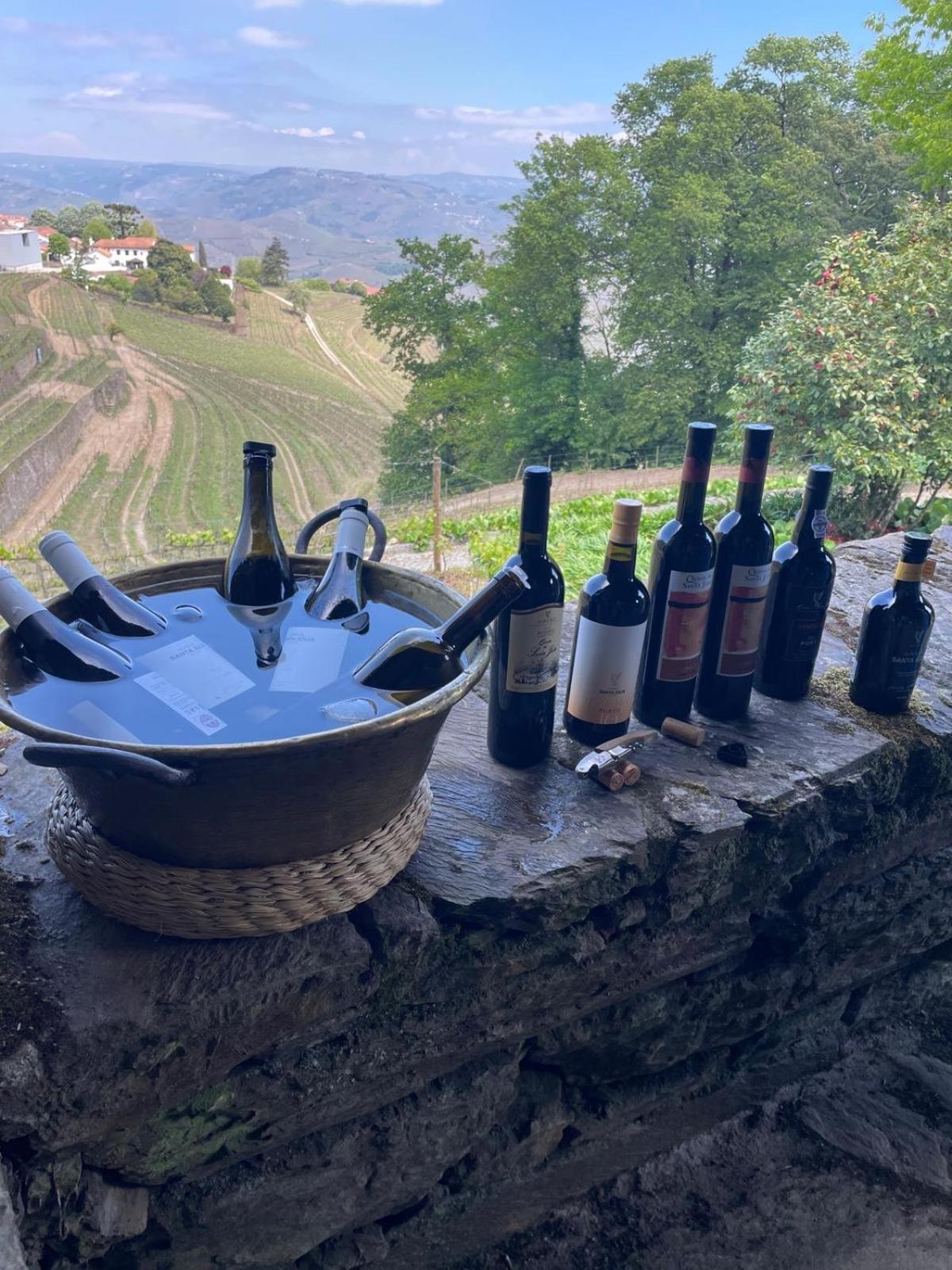 Quinta de Santa Júlia Villa Peso da Régua Kültér fotó
